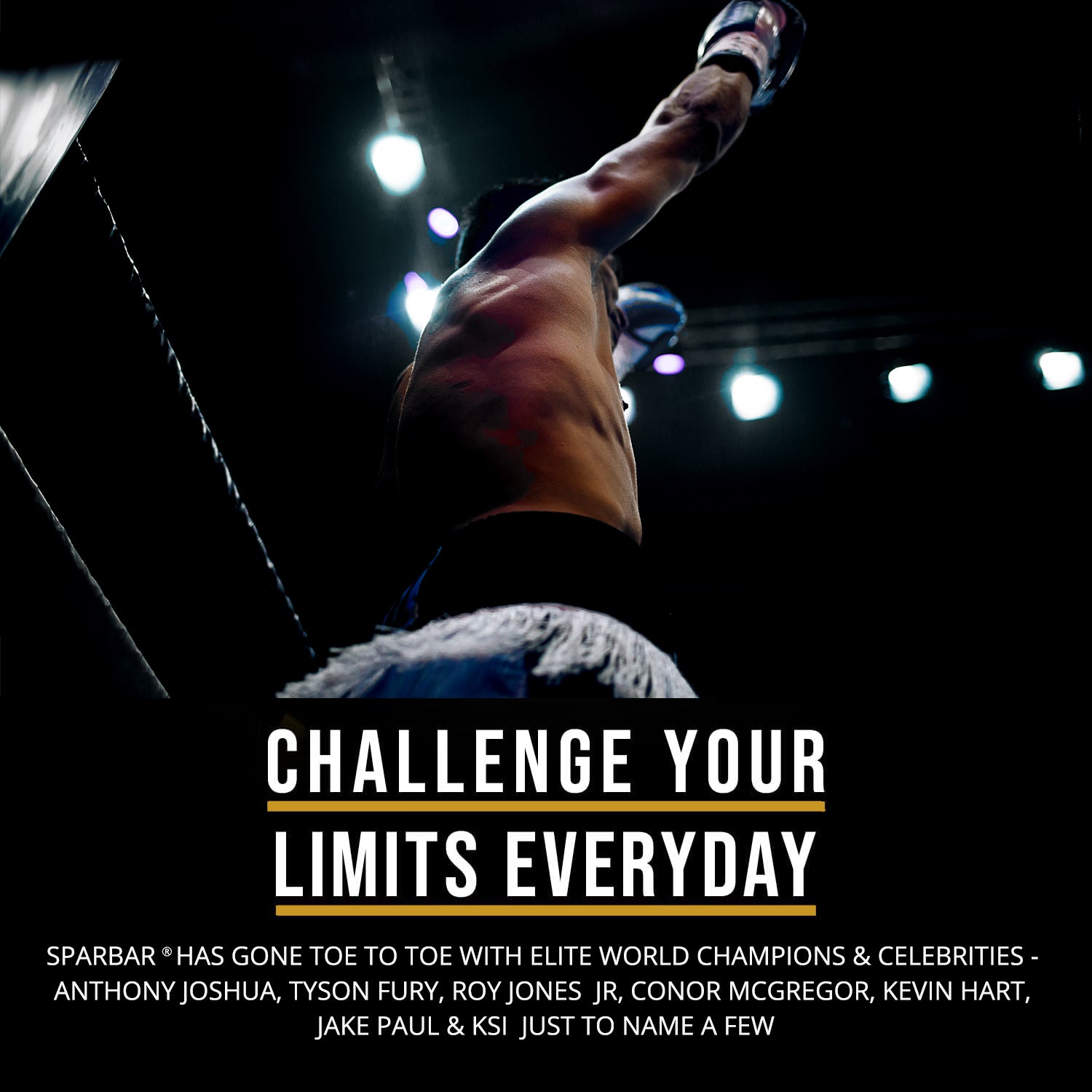 SPARBAR® PRO BLACK GOLD Boxing SPAR BAR Reflex Boxing